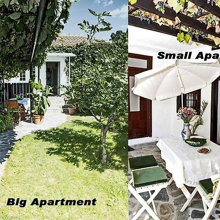 Apartments Villa Elisabeth Ohrid Eksteriør bilde